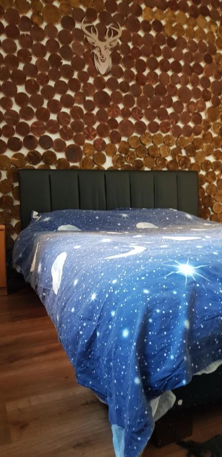 Apartment Straja Lupeni  Екстериор снимка